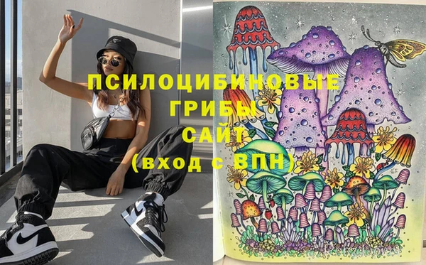мяу мяу мука Абинск