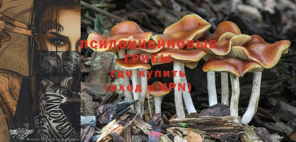 мяу мяу мука Абинск