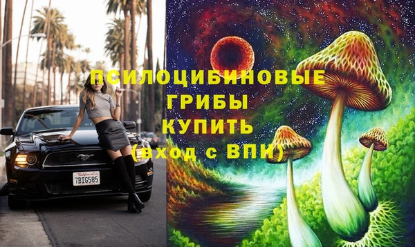 СК Абаза